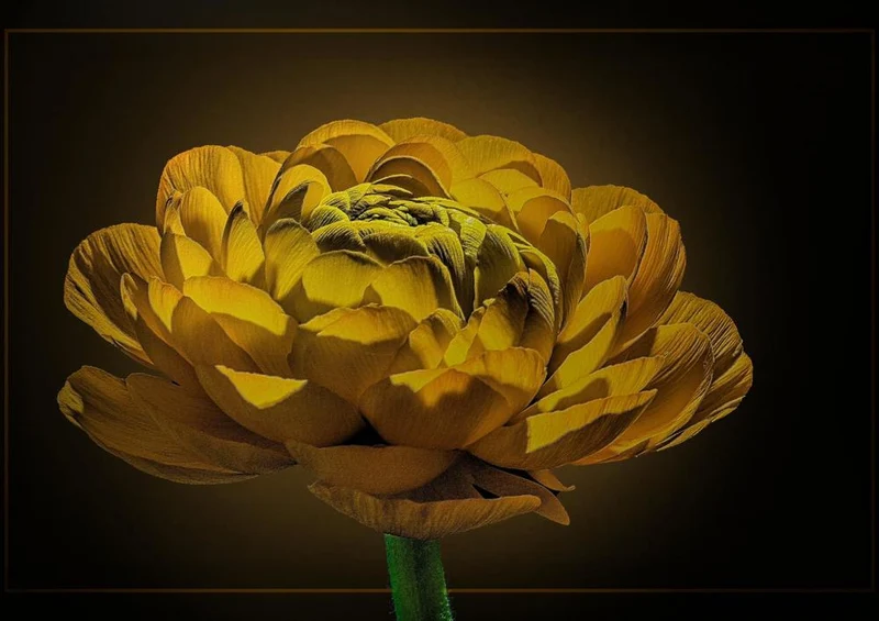 27278 Natur - Blüte Puzzle