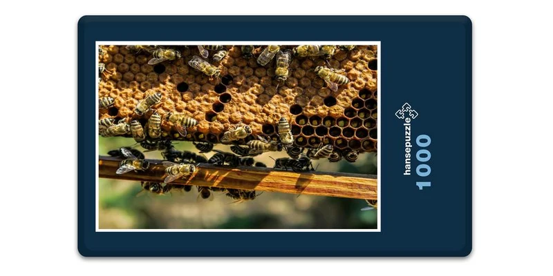 18987 Tierwelt - Bienen Puzzle