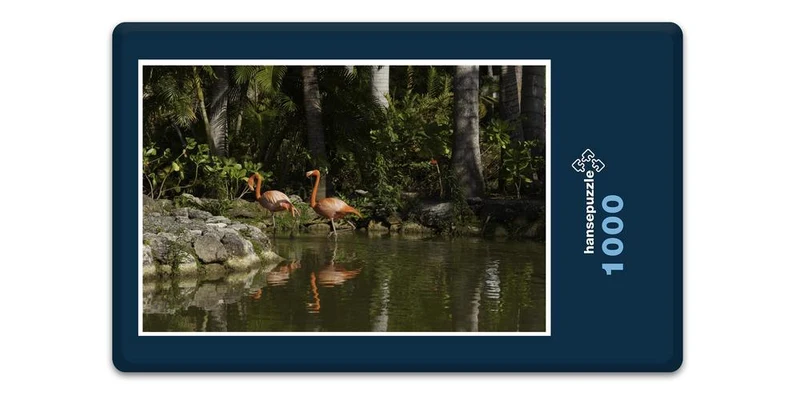 18982 Tierwelt - Flamingos Puzzle