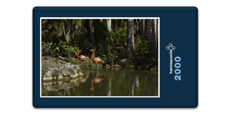 18982 Tierwelt - Flamingos Puzzle