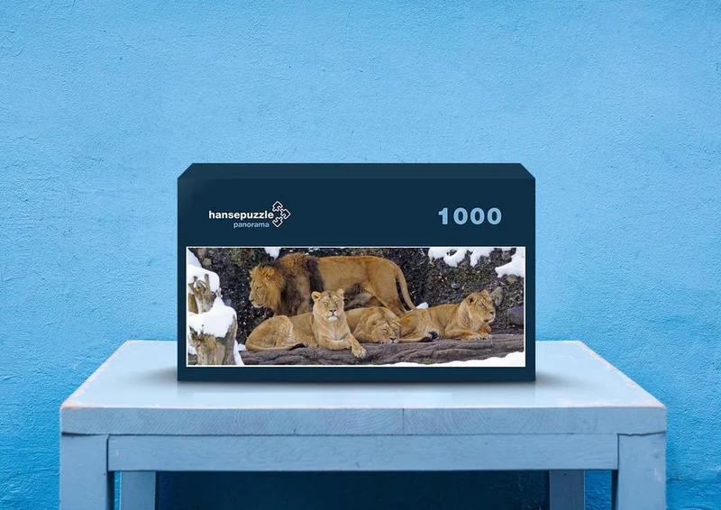 28749 Tierwelt - Löwenrudel Puzzle