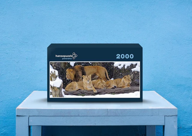 28749 Tierwelt - Löwenrudel Puzzle