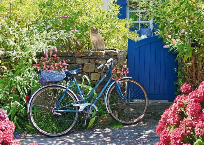 Country Outing by Bike