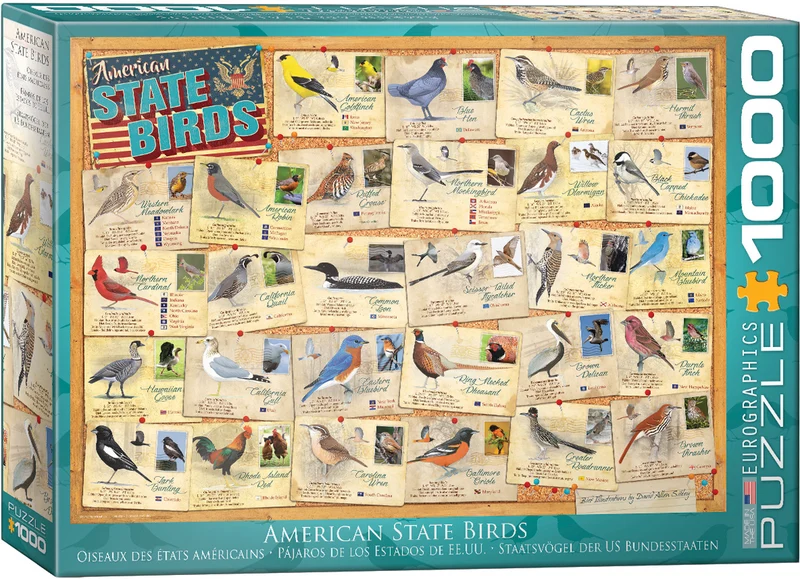 American State Birds, David Allen Sibley