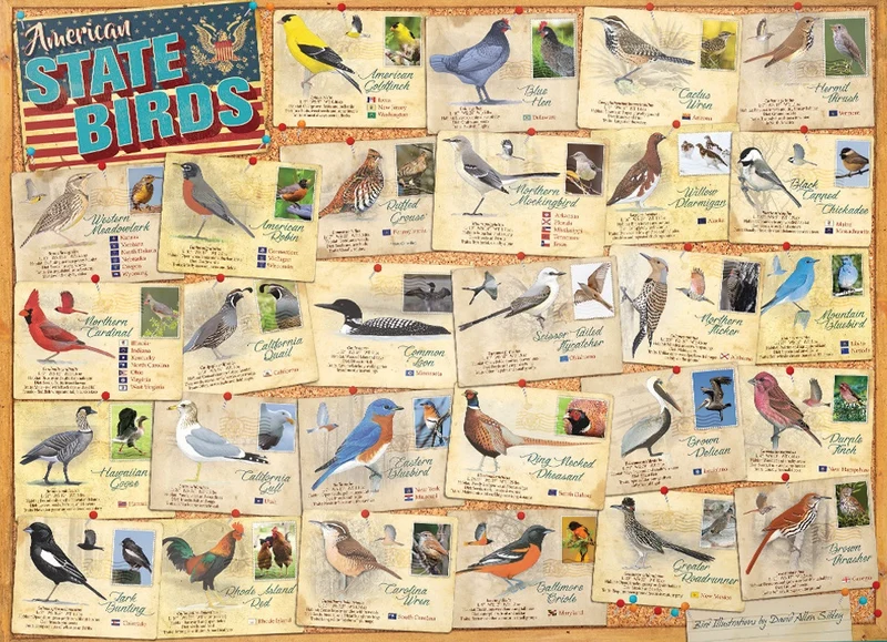 American State Birds, David Allen Sibley