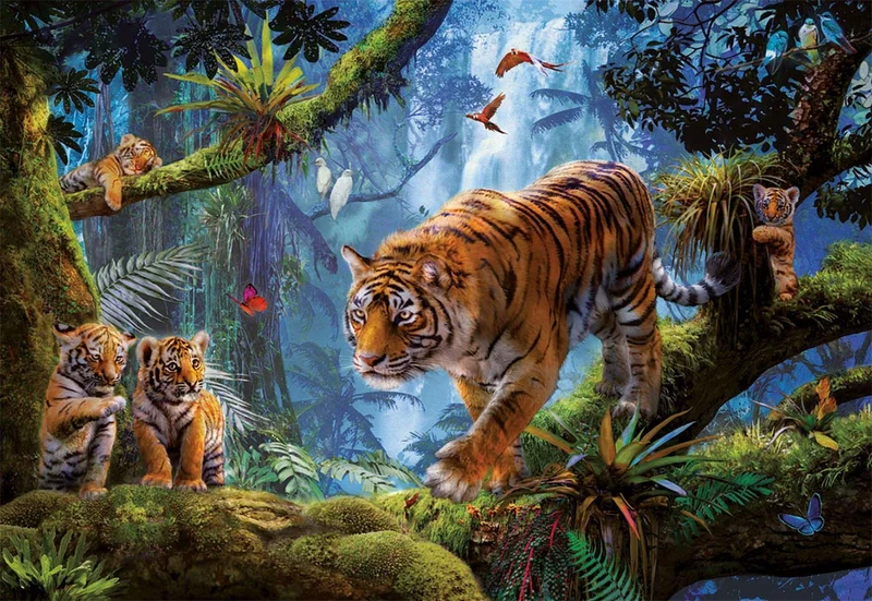 Tigers in the Tree, Jan Patrik Krasny