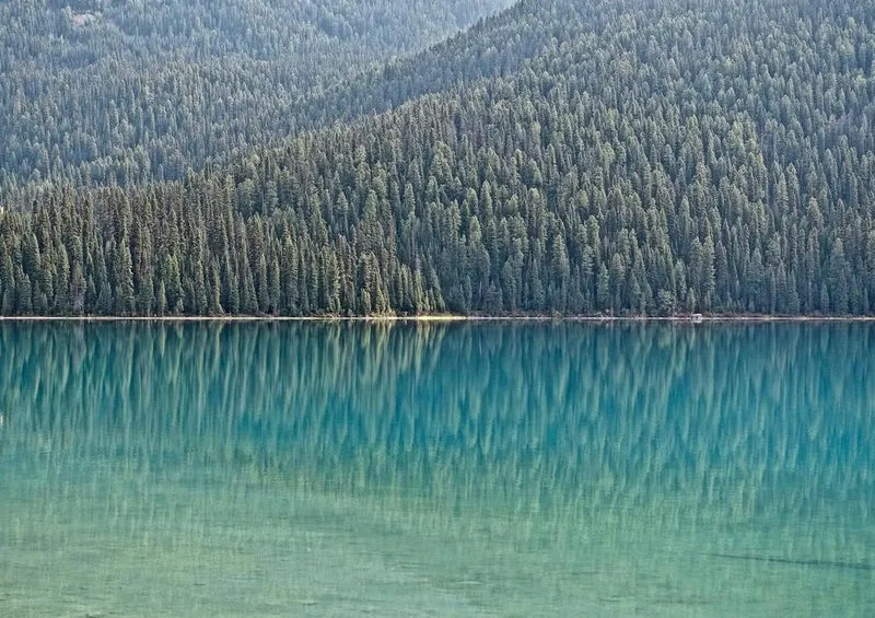 27448 Natur - Reflexion Puzzle