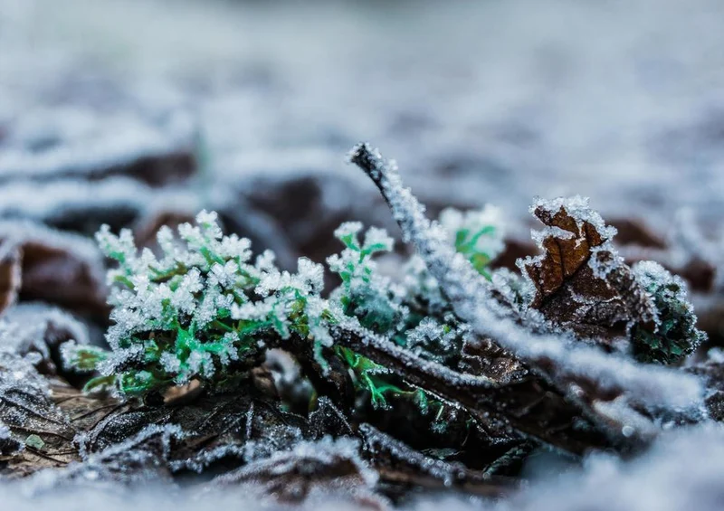 27730 Natur - Eiskristall Puzzle