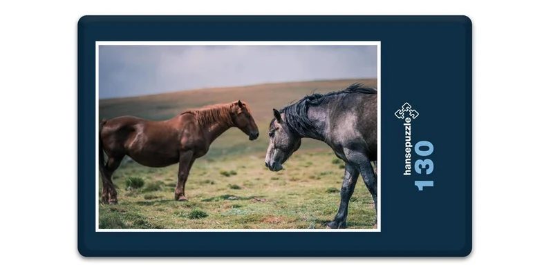 18972 Tierwelt - Pferde auf Koppel Puzzle