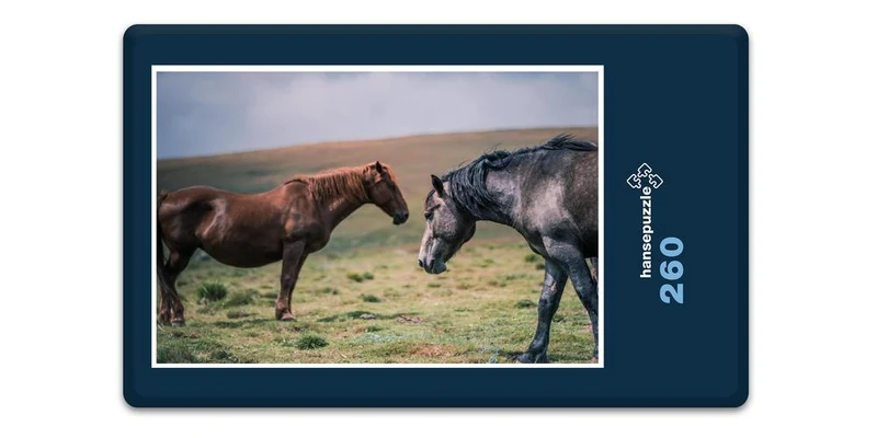 18972 Tierwelt - Pferde auf Koppel Puzzle