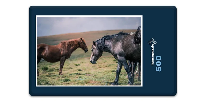 18972 Tierwelt - Pferde auf Koppel Puzzle