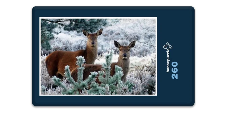 18967 Tierwelt - Rehe im Wald Puzzle