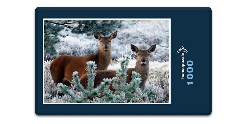 18967 Tierwelt - Rehe im Wald Puzzle