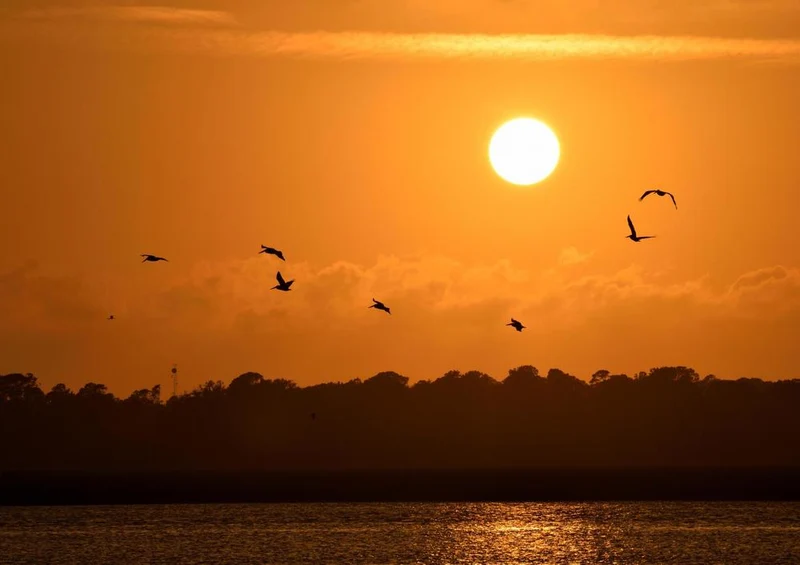 29453 Tierwelt - Sonnenuntergang Puzzle