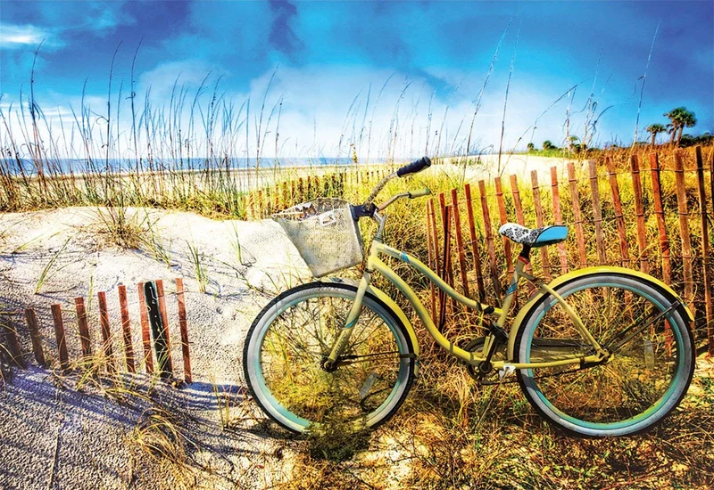 Bike in the Dunes