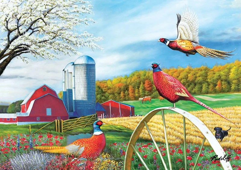 Pheasant Country, Lee Radcliff