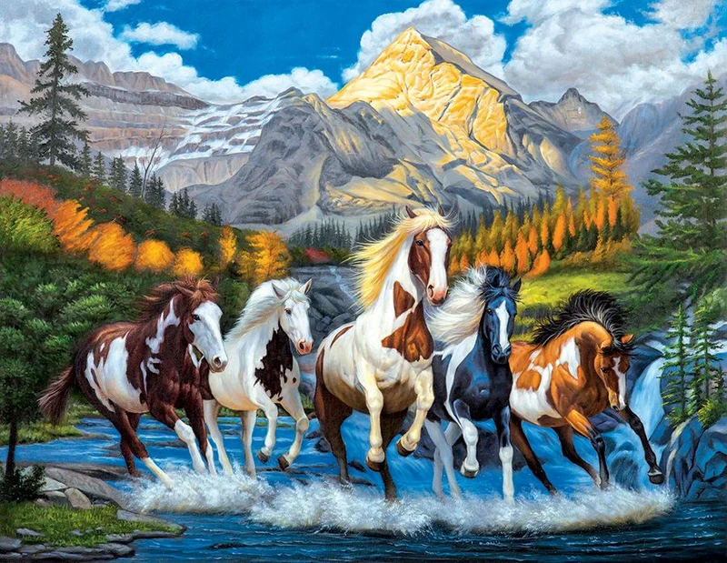 Wild Run, John Crisp