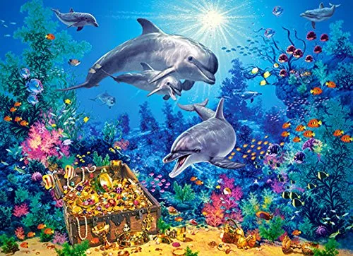 Dolphin Family, Steve Read