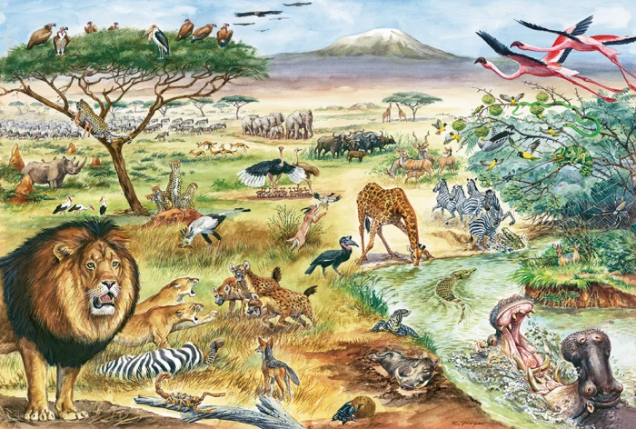 Animals of East Africa, Reiner Zieger