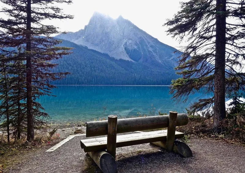 27695 Natur - Bank Puzzle