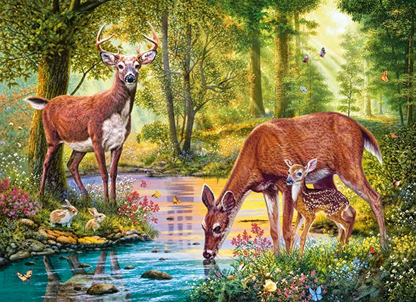 Woodland Stream, Steve Read