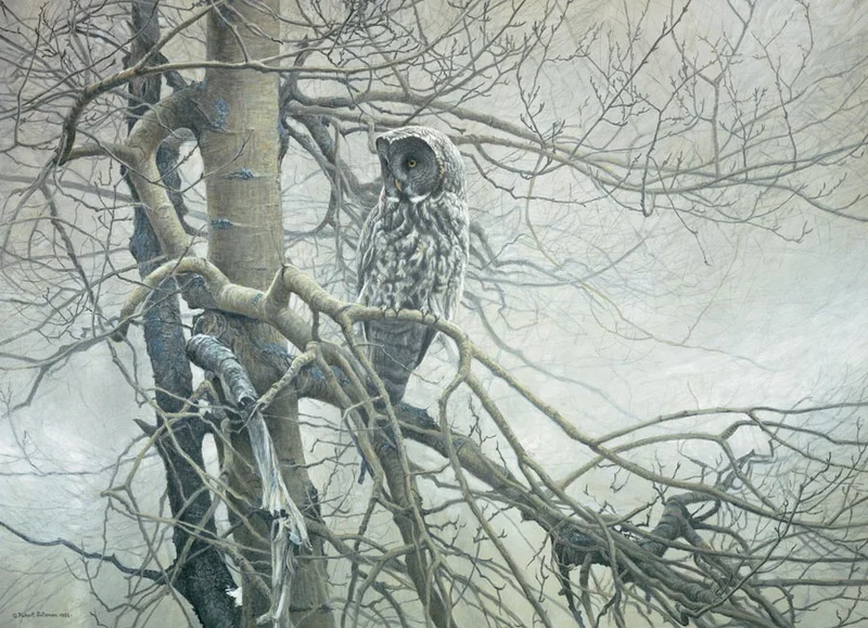 Ghost of the North, Robert Bateman