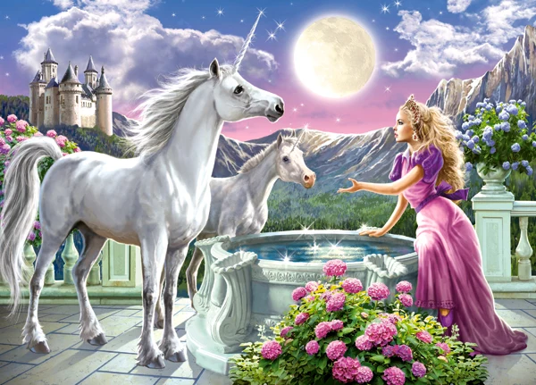 Princess and Her Unicorns
