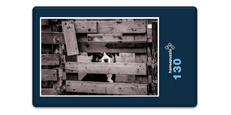 17102 Tierwelt - Zaun-Gast Puzzle