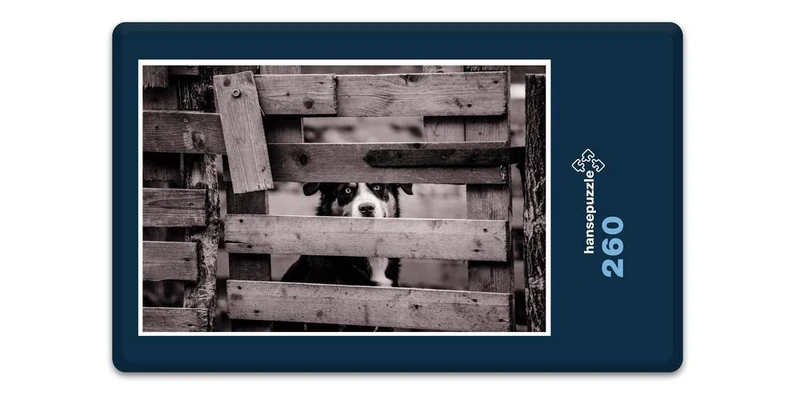 17102 Tierwelt - Zaun-Gast Puzzle