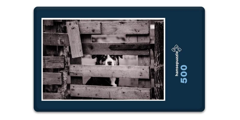 17102 Tierwelt - Zaun-Gast Puzzle