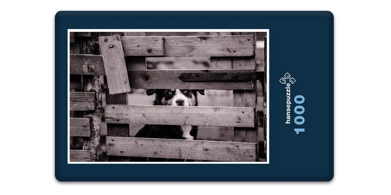 17102 Tierwelt - Zaun-Gast Puzzle