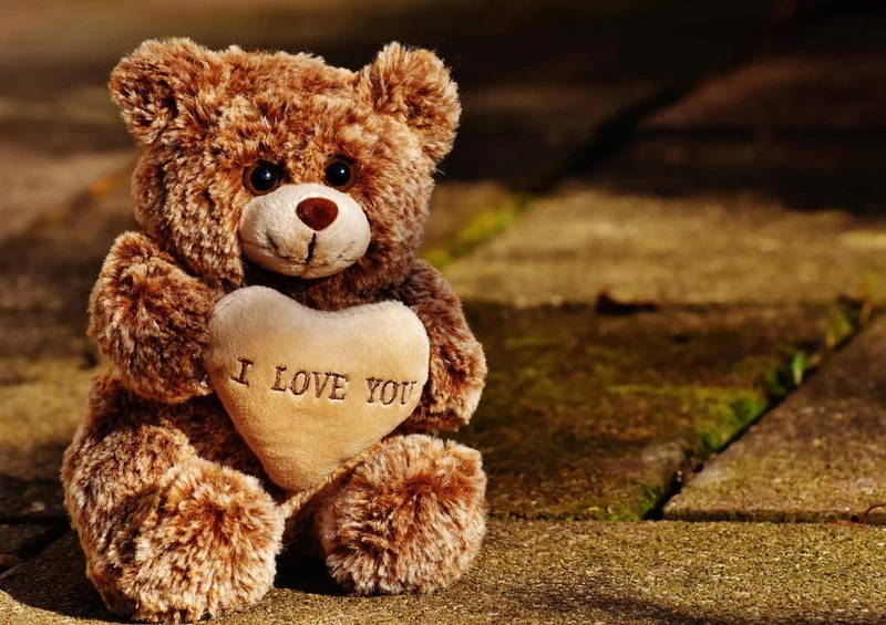 17101 Tierwelt - Teddy-Liebe Puzzle