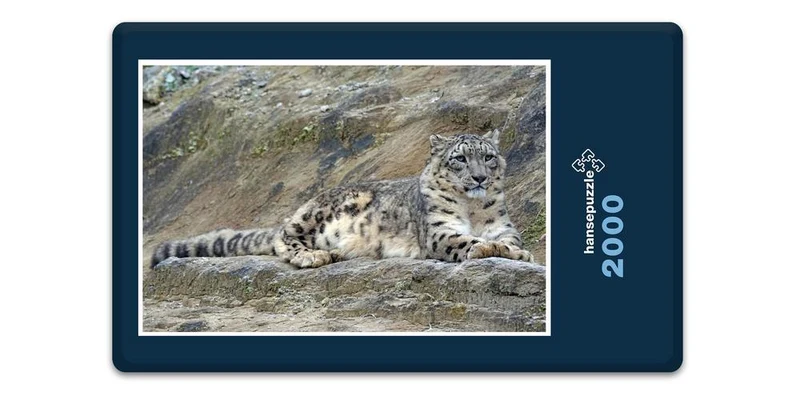 18041 Tierwelt - Schnee-Leopard Puzzle
