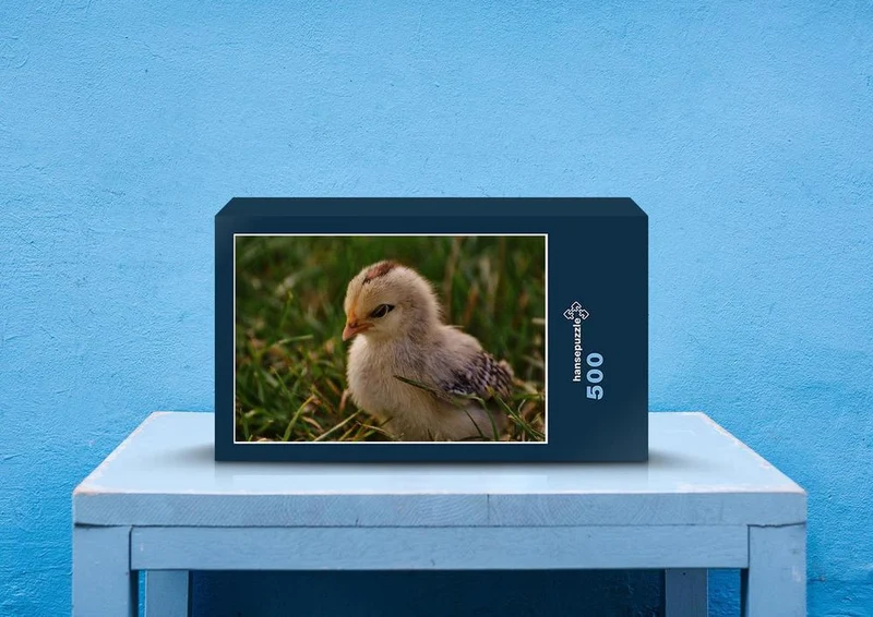 29313 Tierwelt - Küken Puzzle