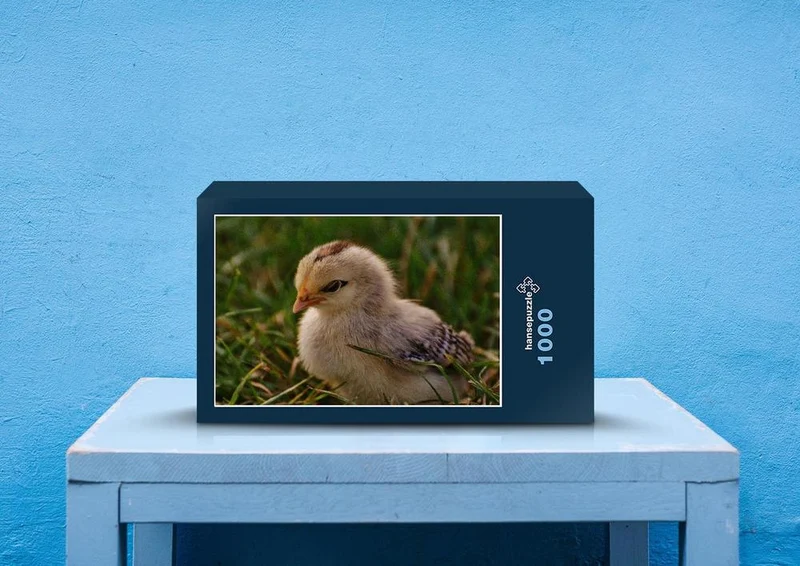 29313 Tierwelt - Küken Puzzle