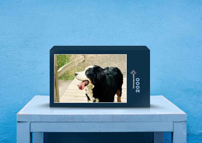 29308 Tierwelt - Hund Puzzle