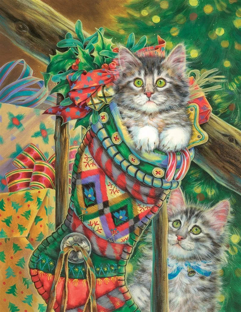 Stocking Curiosity, Donna Race