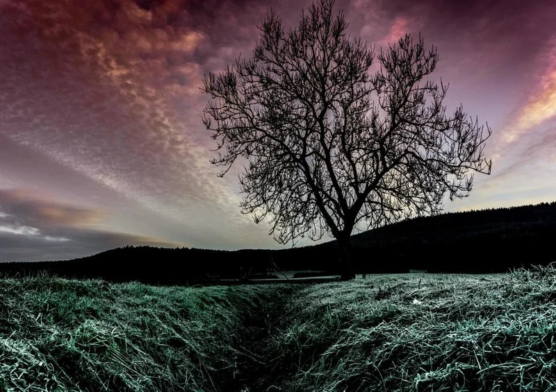 27133 Natur - Natur Puzzle