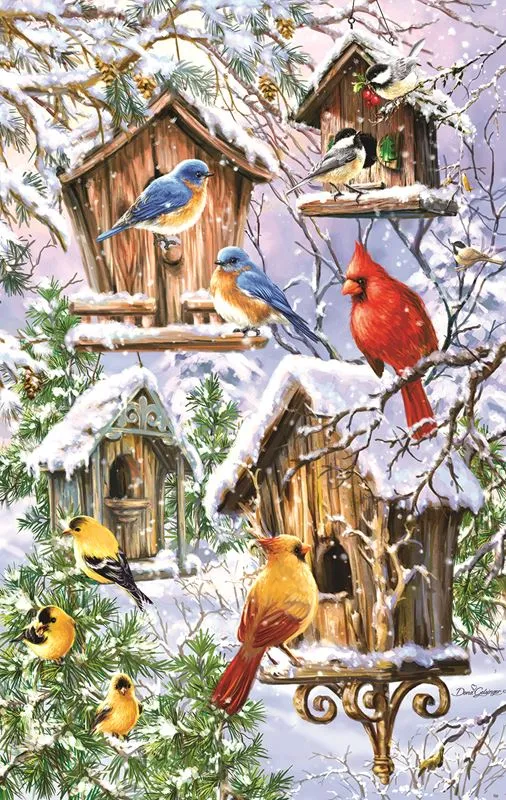 Snow Birds, Dona Gelsinger