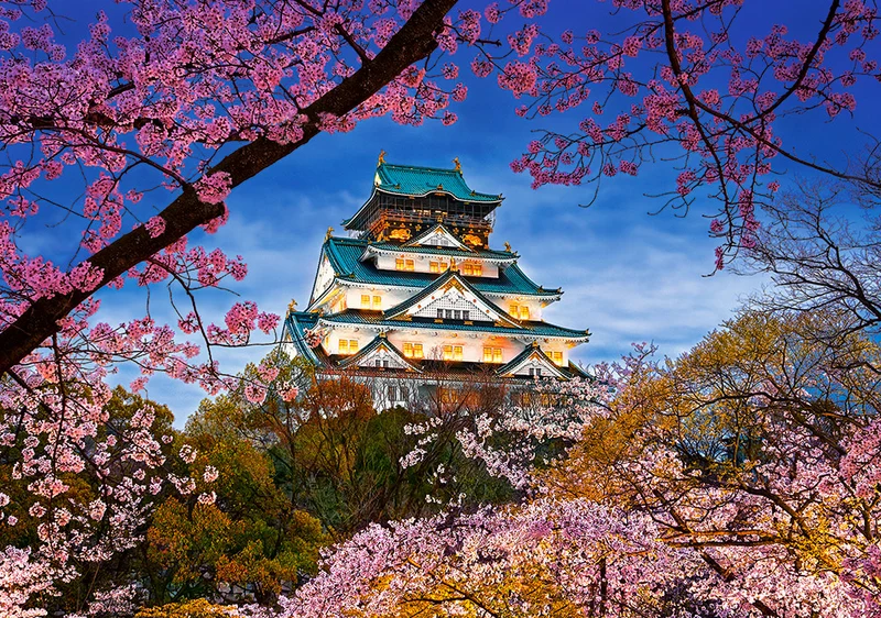 The Harmony of Spring, Elia Locardi