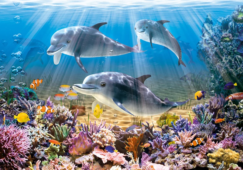 Dolphins Underwater