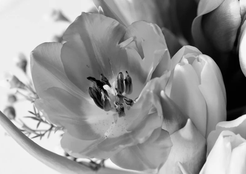 26878 Natur - Tulpe Puzzle