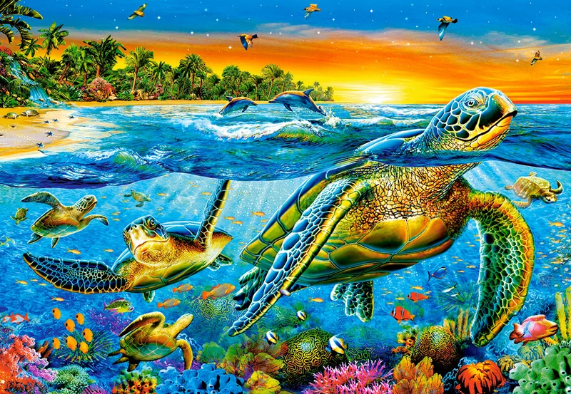 Underwater Turtles, Adrian Chesterman