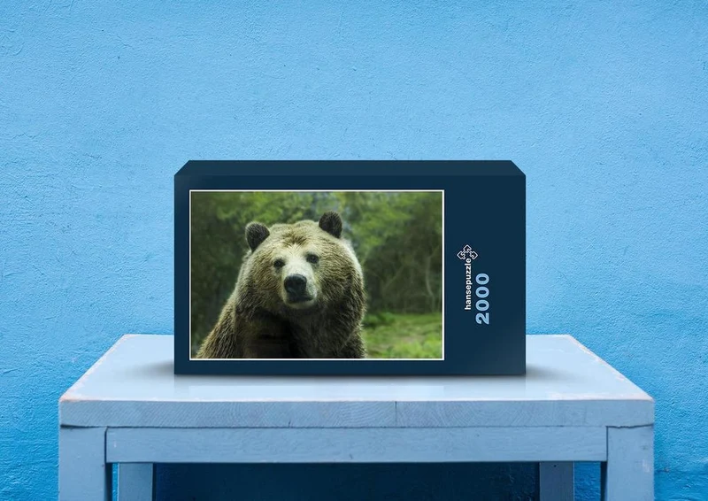 28739 Tierwelt - Grizzlybär Puzzle