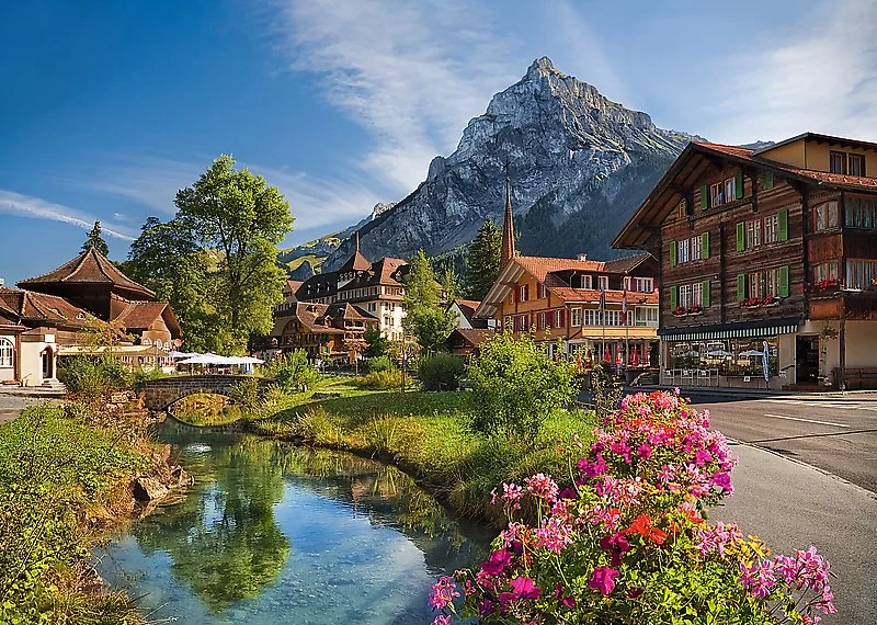 Alps in the Summer