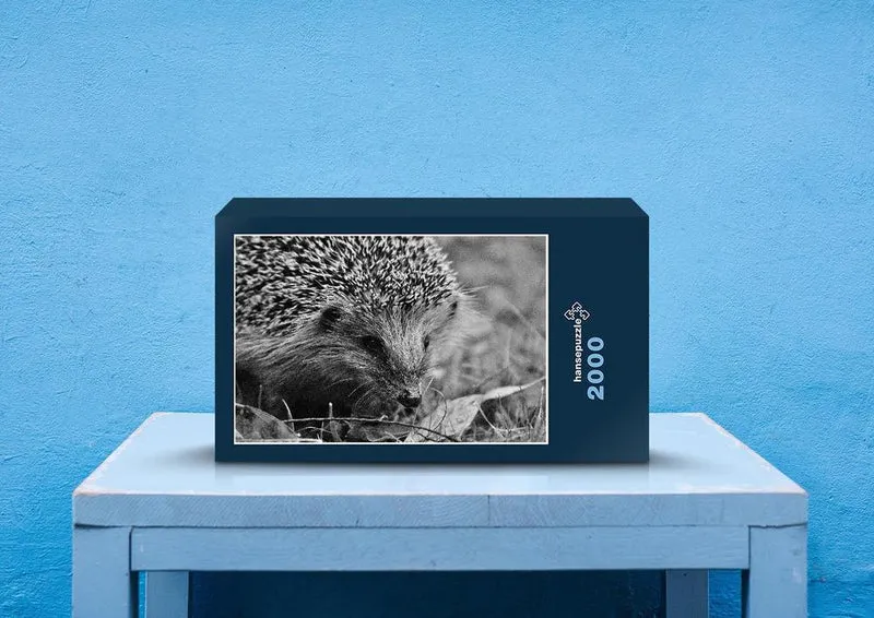 28729 Tierwelt - Igel Puzzle