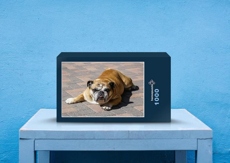 29393 Tierwelt - Bulldogge Puzzle