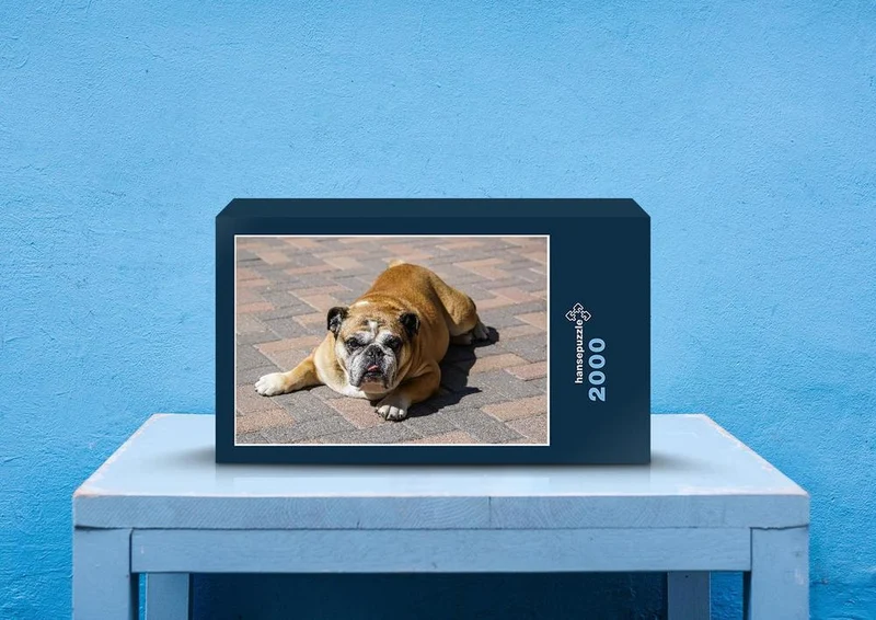 29393 Tierwelt - Bulldogge Puzzle