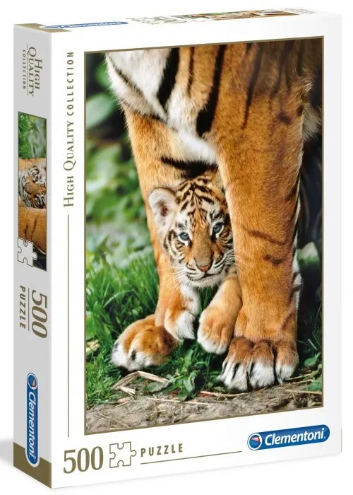 Bengal Tiger Cub Between Its Mother's Legs ( Petit tigre de Bengalie)