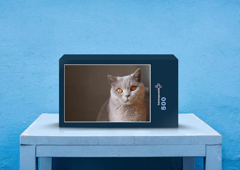 28694 Tierwelt - Katze Puzzle